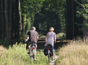 Doetinchem WH.jpg