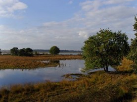 Huis ter Heide.jpg
