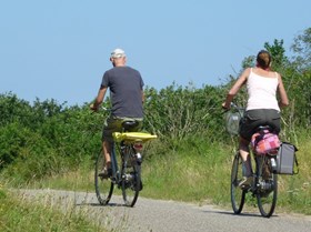 Fietsers - duinen.jpg