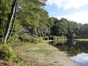 wandelng Villadorp Blaricum